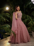 Muted Pink Embellished Lehenga Choli Set